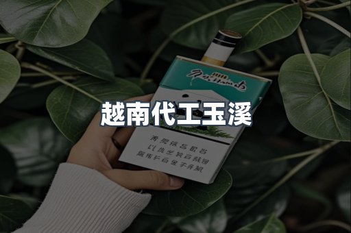 越南代工玉溪